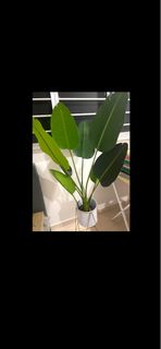 (Category: ) located in . Submitted by MrsRozz (Listing ID 1348747828, Image 1). Description: .