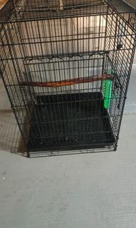 (Category: ) located in . Submitted by medori (Listing ID 1348754064, Image 1). Description: .