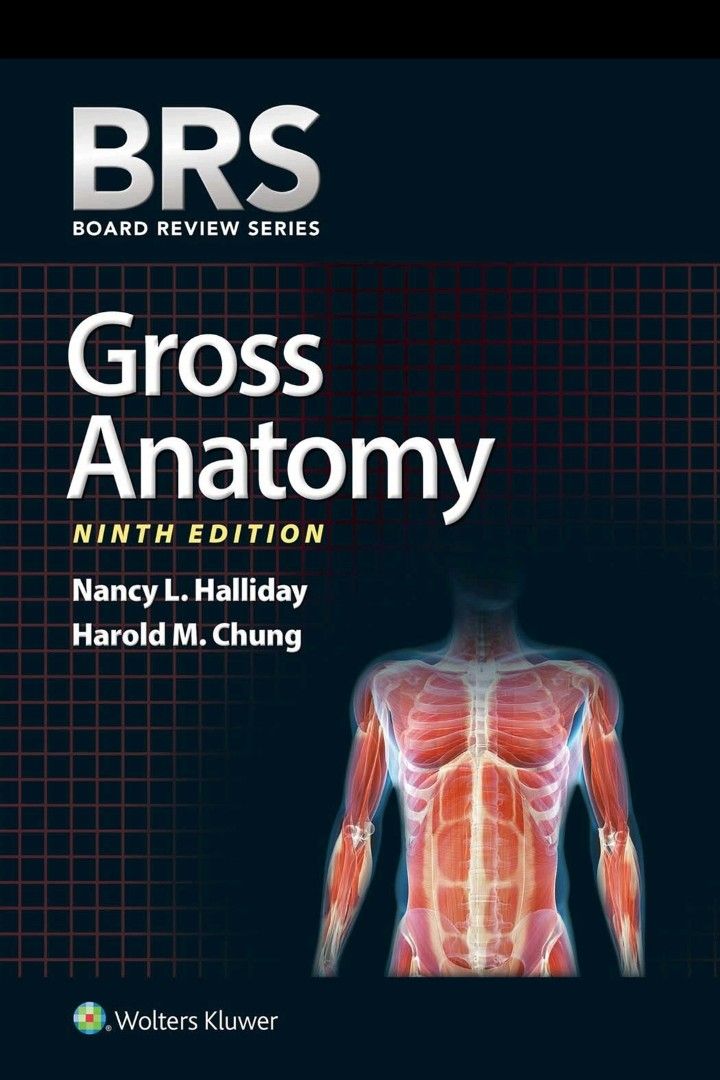 BRS Gross Anatomy 9th Edition SOFT COPY (Category: Textbooks) located in Manila. Submitted by shopappliances (Listing ID 1348676978, Image 1). Description: BRS Gross Anatomy 9th Edition SOFT COPY For boards, med school, PT, etc.