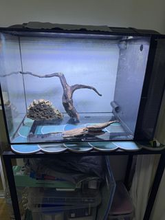(Category: ) located in . Submitted by desmond.b (Listing ID 1348765666, Image 1). Description: .