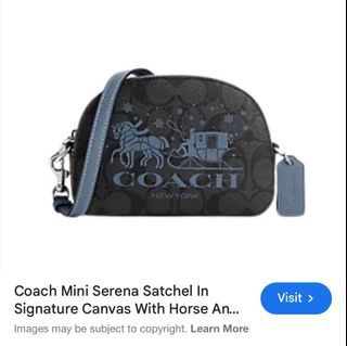 FS: Coach mini serena