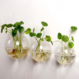 （分類：）位於 。 由 kauzovrusl46870 提交（商品編號 1348806059，圖片 1）。簡介： 。