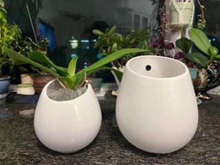 （分類：）位於 。 由 treetreeert 提交（商品編號 1348768240，圖片 1）。簡介： 。