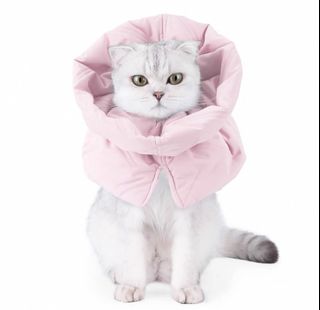 (Category: ) located in . Submitted by bebeblossom (Listing ID 1348659359, Image 1). Description: .