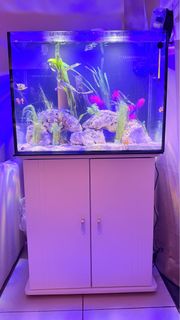 (Category: ) located in . Submitted by kennyleech (Listing ID 1348980254, Image 1). Description: .