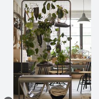 (Category: ) located in . Submitted by erns (Listing ID 1348867637, Image 1). Description: .