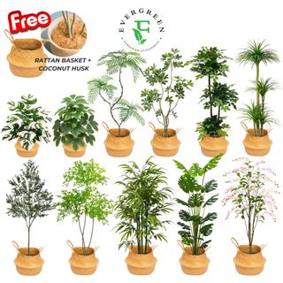 (Category: ) located in . Submitted by evergreen_gardening (Listing ID 1315242767, Image 1). Description: .