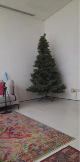 (Category: ) located in . Submitted by pj_0624 (Listing ID 1349109682, Image 1). Description: .