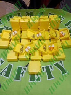 earplug