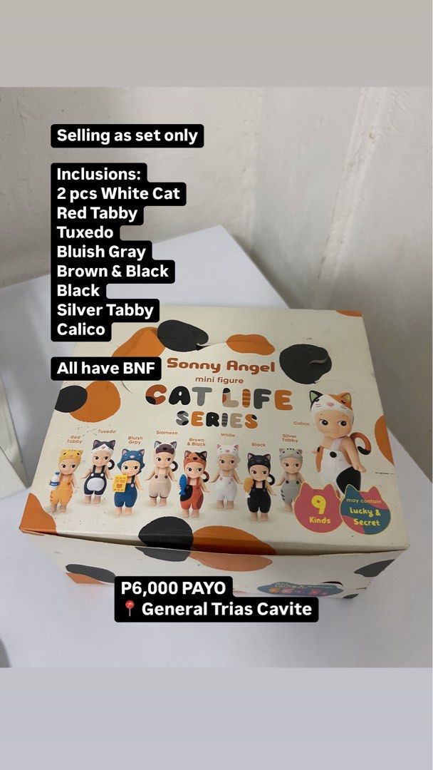 Sonny Angel Cat Life (Category: Designer & Blind Box Toys) located in Manila. Submitted by vahnkira54283 (Listing ID 1349175896, Image 1). Description: Sonny Angel Cat Life Series All Cats are on the set except Siamese but includes 2 White Cats Opened but each angels still has box and foil Prio Set Taker can give discount if sure buyer Location: General Trias Cavite.