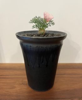 （分類：）位於 。 由 hei_stuff 提交（商品編號 1349280723，圖片 1）。簡介： 。