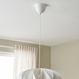(Category: ) located in . Submitted by boldbloom (Listing ID 1349192632, Image 1). Description: .