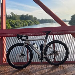 (Category: ) located in . Submitted by arcanes (Listing ID 1349259298, Image 1). Description: .