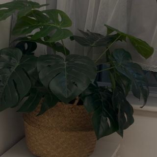 （分類：）位於 。 由 dodoll9 提交（商品編號 1349544088，圖片 1）。簡介： 。