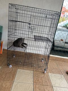 (Category: ) located in . Submitted by pompom843 (Listing ID 1349424340, Image 1). Description: .