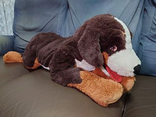 （分類：）位於 。 由 kenny.bbg 提交（商品編號 1349476432，圖片 1）。簡介： 。
