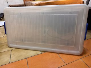 由 wumedaddy (刊登 ID 1349678688，圖片 1) 提交，位於 的 (類別：)，說明：。