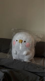 由 mini_duck (刊登 ID 1349692858，圖片 1) 提交，位於 的 (類別：)，說明：。