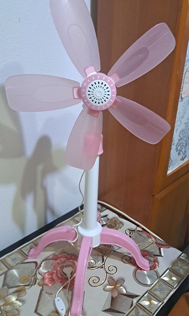 Fan