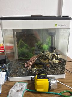 (Category: ) located in . Submitted by jithinkj (Listing ID 1349660825, Image 1). Description: .