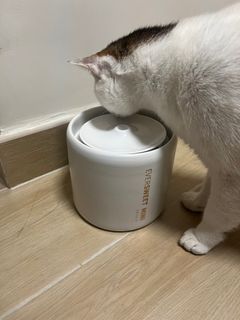 （分類：）位於 。 由 awongdrew 提交（商品編號 1349663774，圖片 1）。簡介： 。