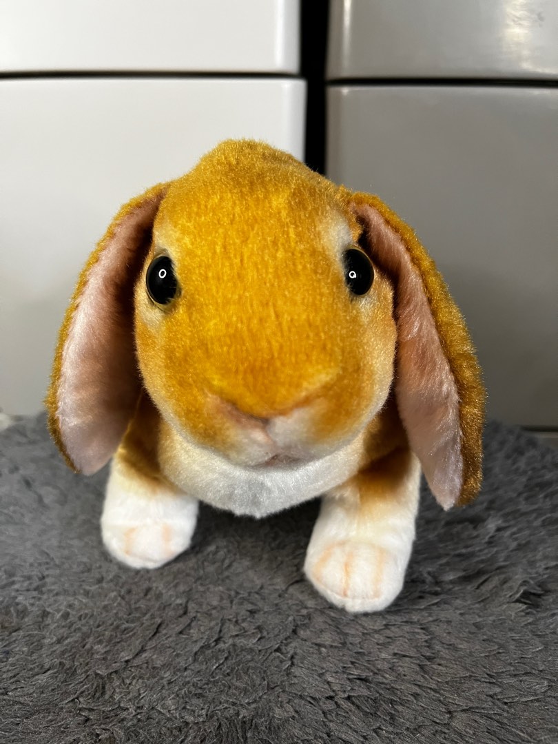 Realistic Long Ears Bunny x Rabbit Brown Plush/Stufftoy, Hobbies & Toys ...