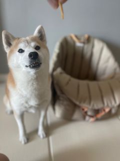 （分類：）位於 。 由 cc.11 提交（商品編號 1349787005，圖片 1）。簡介： 。