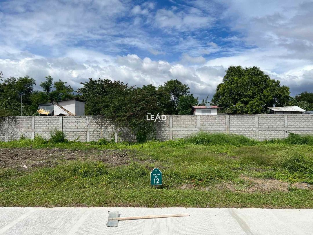 Rare 272sqm Alabang West Village VIP Lot for Sale 272 sqm near ...