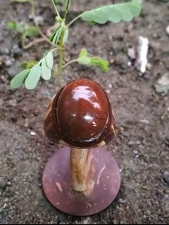 (Kategori: ) berada di . Dikirim oleh batukoleksi (ID iklan 1350075077, Gambar 1). Deskripsi: .
