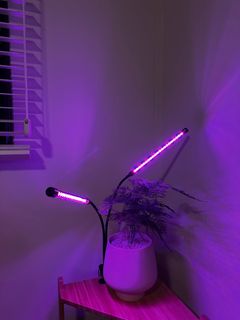 (Category: ) located in . Submitted by weijian852 (Listing ID 1350025777, Image 1). Description: .