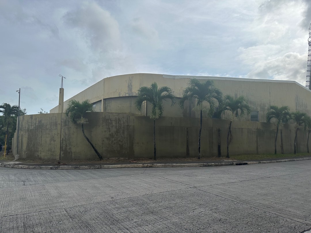 (Category: ) located in . Submitted by rarefalcon_947a51 (Listing ID 1350130312, Image 1). Description: .