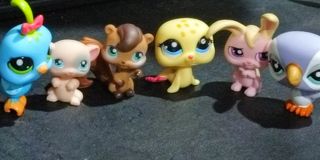 (Category: ) located in . Submitted by belikebeaa (Listing ID 1350209338, Image 1). Description: .