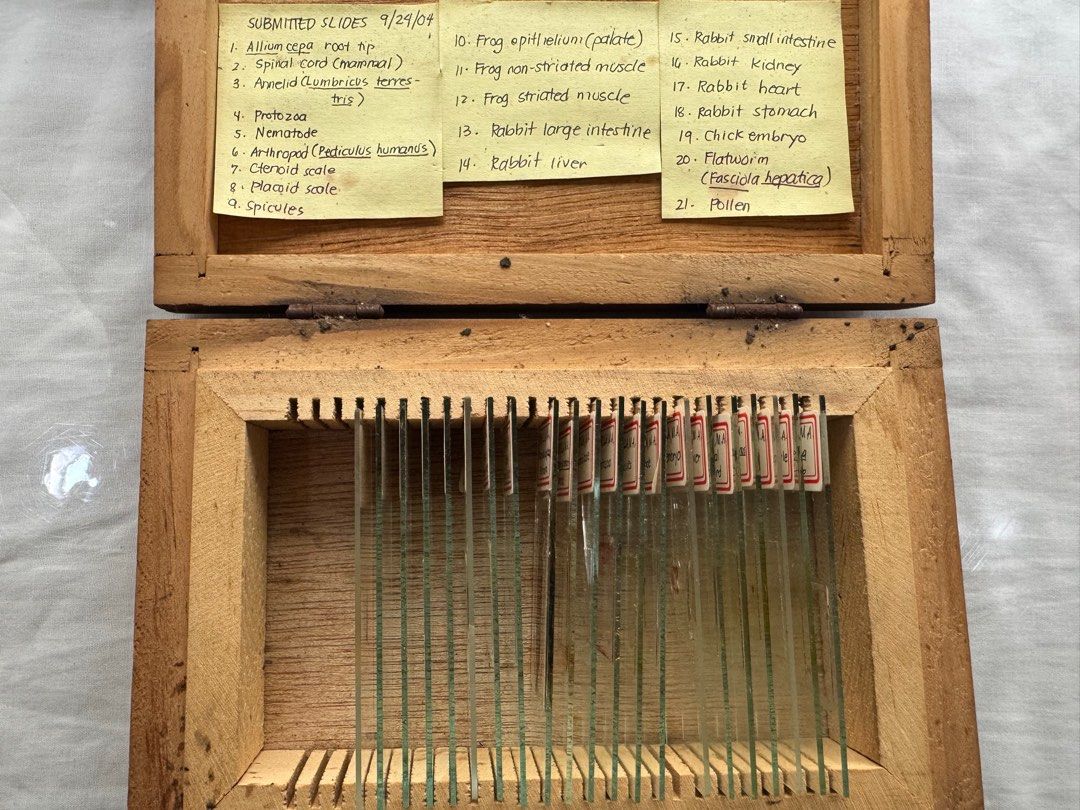 Microscopic slides specimen (Category: Medical Supplies & Tools) located in Manila. Submitted by cardiodiamond09 (Listing ID 1350189608, Image 1). Description: These are the remaining slides. Send the pic of the specific slide/s you will buy. Thanks! SOLD: Paramecium Euglena Volvox Obelia Hydra .