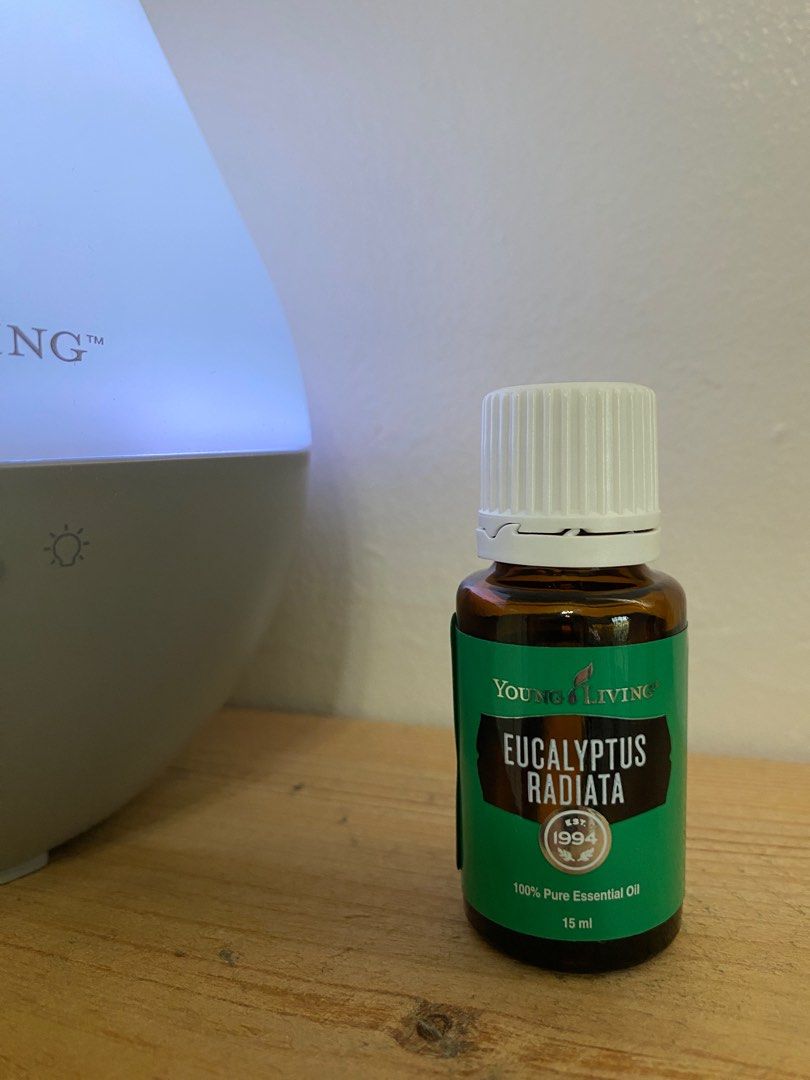 Young Living Essential Oil Eucayptus Radiata (Category: Sports & Fitness Nutrition) located in Davao. Submitted by iam_artisan (Listing ID 1350160078, Image 1). Description: Eucalyptus radiata Essential Oil tends to be my preferred choice of the eucalyptus oils because it shares most of the same properties as Eucalyptus globulus Essential Oil, but I prefer that it has less 1,8 Cineole than Eucalyptus globulus, and I find that Eucalyptus radiata h