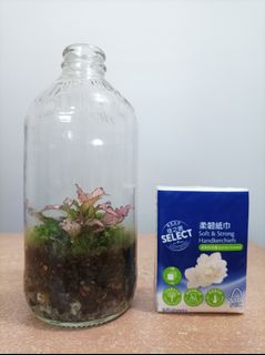 （分類：）位於 。 由 byg2020 提交（商品編號 1345214403，圖片 1）。簡介： 。