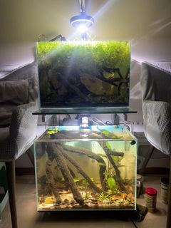（分類：）位於 。 由 tsoila 提交（商品編號 1345208042，圖片 1）。簡介： 。