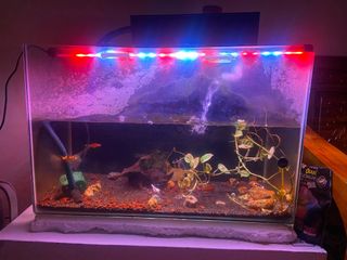 (Category: ) located in . Submitted by tkanyeun2424782 (Listing ID 1345122130, Image 1). Description: .