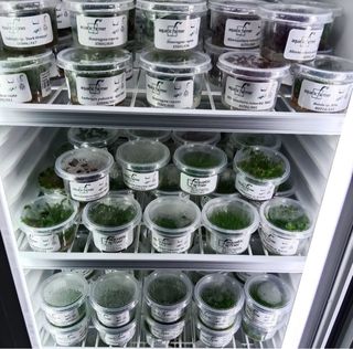 (Category: ) located in . Submitted by natureaquaticsystem (Listing ID 1345298128, Image 1). Description: .