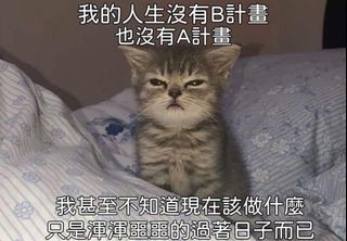 （分類：）位於 。 由 cathy890 提交（商品編號 1345255211，圖片 1）。簡介： 。
