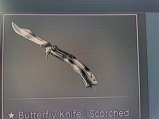 (Category: ) located in . Submitted by calebballe84646 (Listing ID 1345261427, Image 1). Description: .