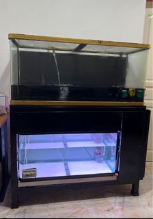 (Category: ) located in . Submitted by goodstuffgoodbuy (Listing ID 1345296869, Image 1). Description: .