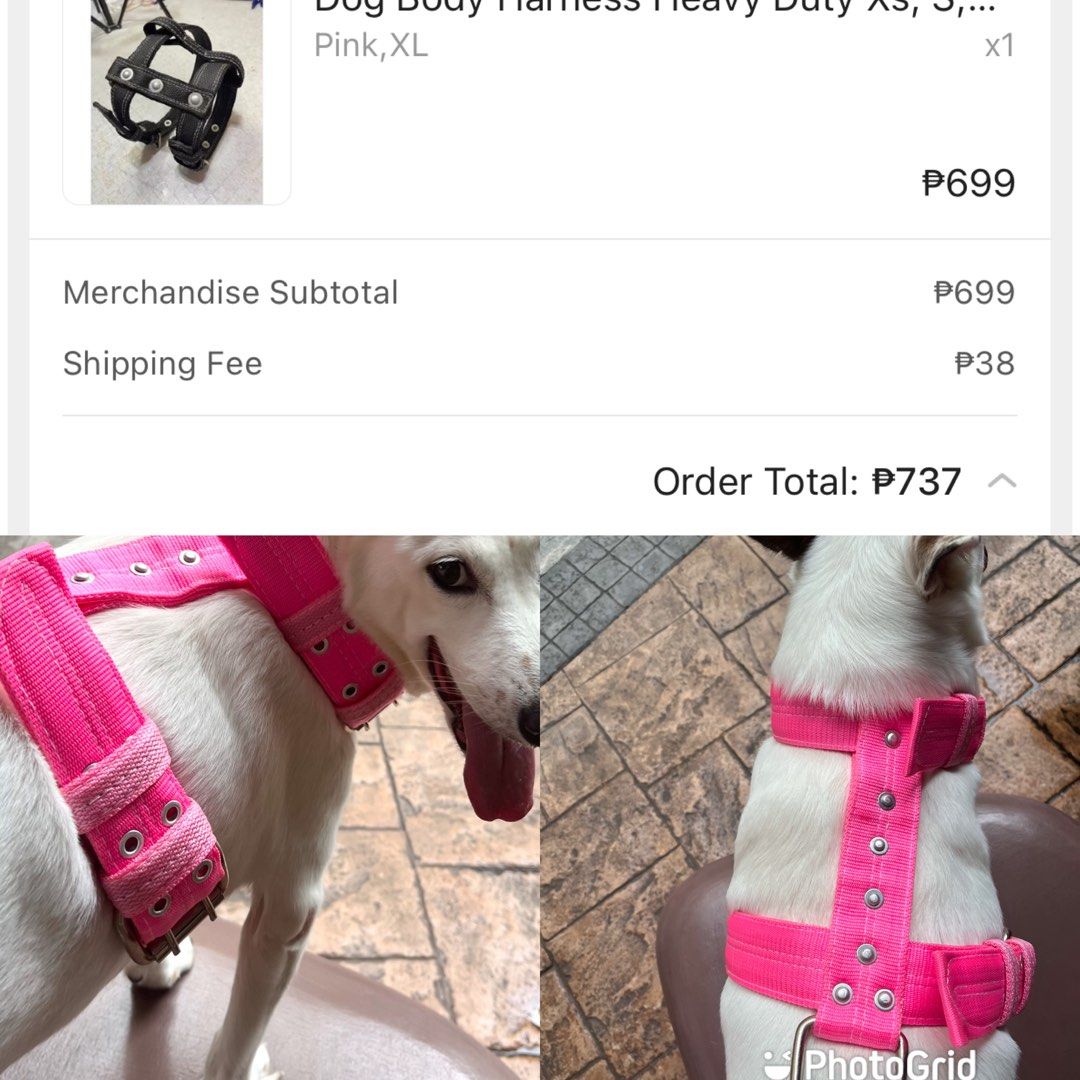 Heavy Duty Pet ( dog) Harness Pink Extra Large (Category: Homes & Other Pet Accessories) located in Taguig. Submitted by Mrs.Harris (Listing ID 1345165666, Image 1). Description: Heavy Duty Pet ( dog) Harness Pink Extra Large Like new Fits medium to L, XL dogs.