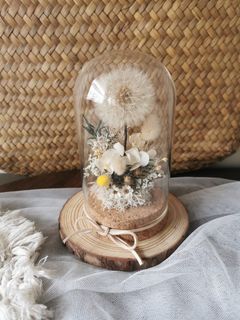 (Category: ) located in . Submitted by wildbotanics (Listing ID 1350323716, Image 1). Description: .