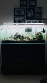 (Category: ) located in . Submitted by archproductions (Listing ID 1350498757, Image 1). Description: .