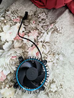 Fan488413142796871680
