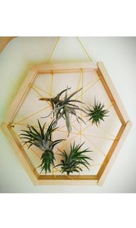 (Category: ) located in . Submitted by ahappyspace (Listing ID 1350411208, Image 1). Description: .