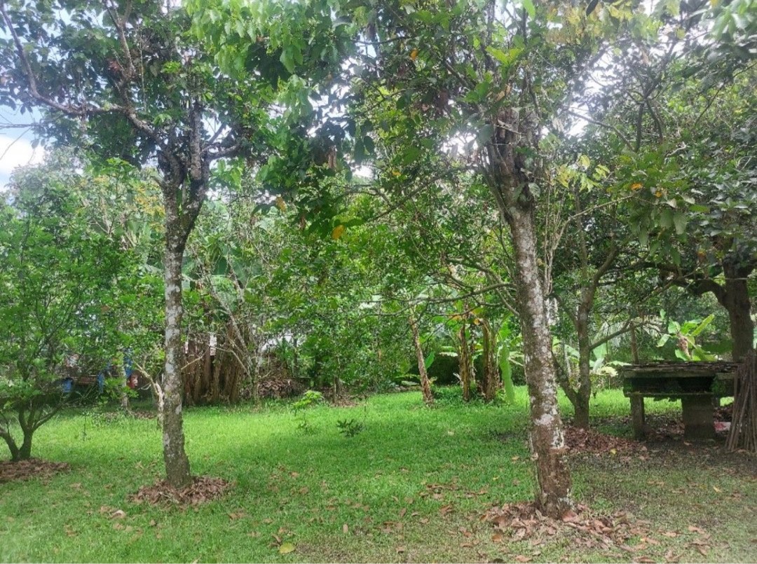 (Category: ) located in . Submitted by houseprospectsph (Listing ID 1350478338, Image 1). Description: .
