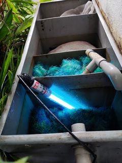 (Category: ) located in . Submitted by aquaticsolutions (Listing ID 1345307230, Image 1). Description: .