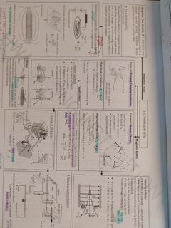 (Category: ) located in . Submitted by yijiaaa_ (Listing ID 1345317216, Image 1). Description: .