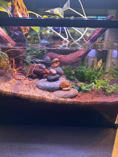 (Category: ) located in . Submitted by eszy (Listing ID 1345354050, Image 1). Description: .
